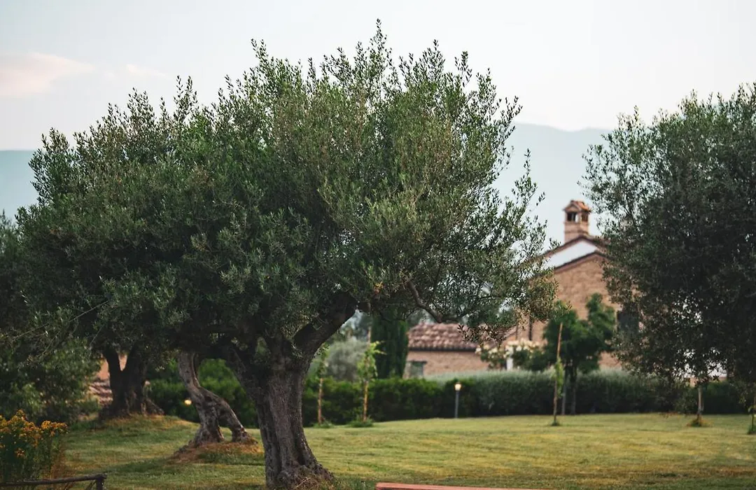 agriturismo borgo del ginepro-1